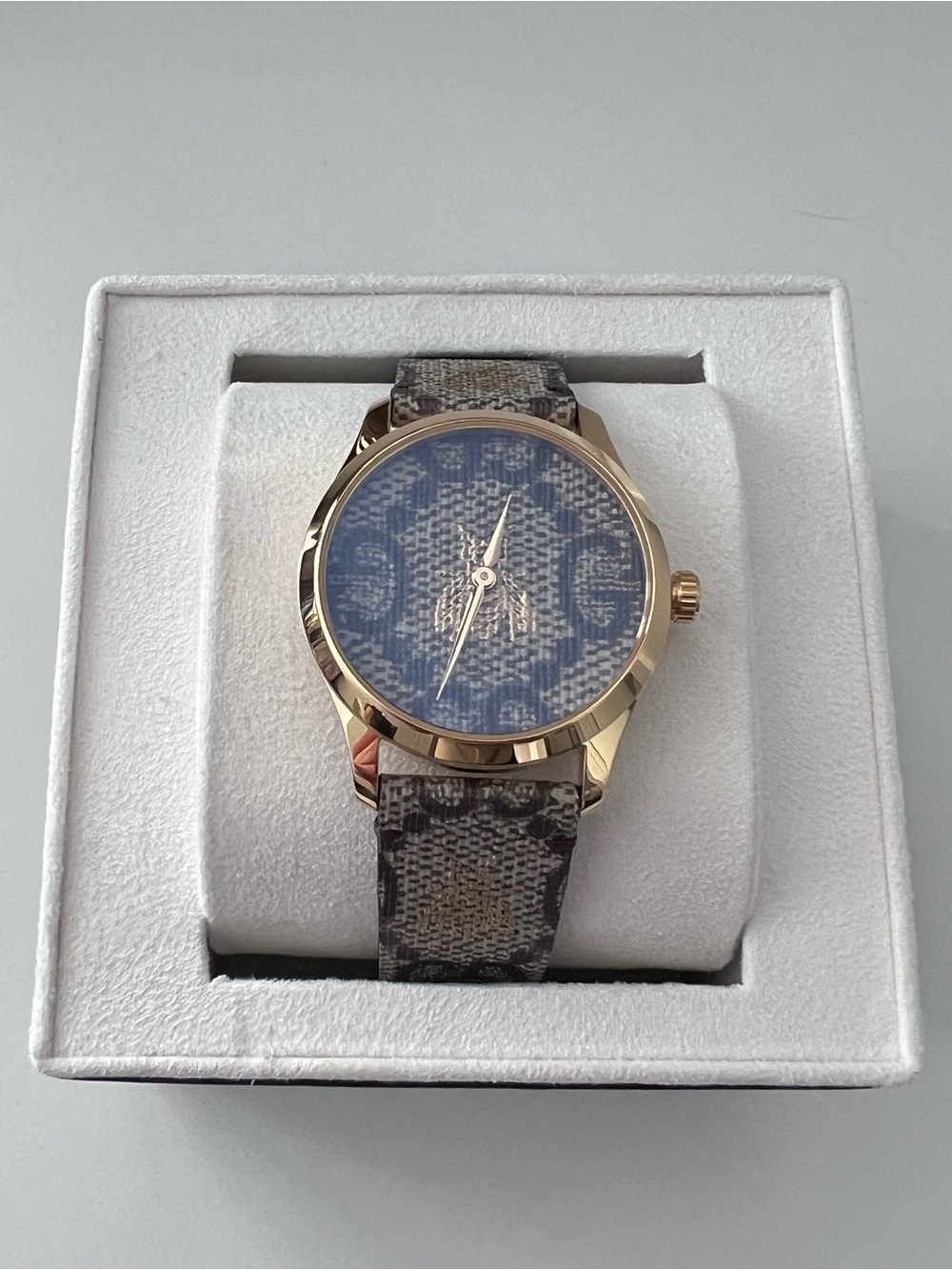 Gucci G-timeless brown unisex adult watch